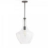 Dainolite Petalite 1 Light Pendant Large Matte Black Clear Glass Lamp