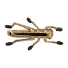 Metal 6" Grasshopper - Gold | Sauterelle de 6 po en métal - dorée