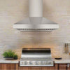 Victory 42-Inch 1200 CFM Wall Mount Range Hood for Outdoor BBQ | Hotte de cuisine murale Victory de 42 pouces 1200 CFM pour barbecue exterieur