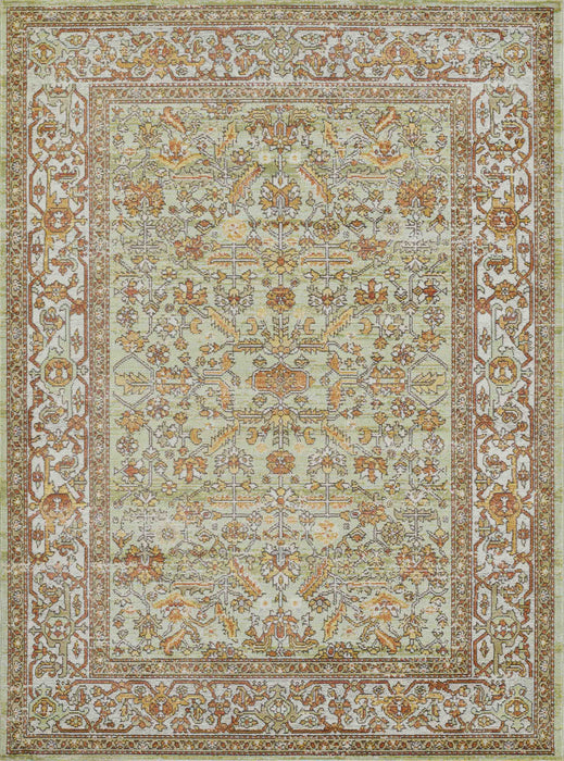 Hailey Traditional 7'10\" x 10'6\" Area Rug in Green Indoor Area Rug