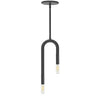 Dainolite Wand 2 Light Pendant Matte Black Lamp