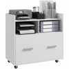 Vinsetto File Cabinet With Wheels Drawer For Letter A4 Legal Size|Vinsetto Classeur Avec Tiroir A Roulettes Pour Lettre A4 Format Legal