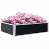 Outsunny 47" X 35" X 12" Raised Garden Bed, Plastic Planter Box, Above Ground Garden Box For Flowers|Outsunny - Jardiniere Surelevee De 47.2" L X 35.4" L X 11.8" H, Bac A Plantes, Jardiniere Hors Sol P