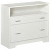 Vinsetto 2 Drawers File Cabinet With Hanging Rail|Vinsetto Classeur 2 Tiroirs Avec Rail De Suspension