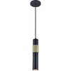Dainolite Passwell 1 Light Pendant Matte Black/Aged Brass Lamp|Luminaire suspendu Passwell de Dainolite avec fini noir mat et laiton vieilli et 1 ampoule
