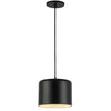 Dainolite Emilia 1 Light Pendant Matte Black Finish Matte Black/White Shade Lamp|Luminaire suspendu Emilia de Dainolite avec abat-jour noir mat et blanc, fini noir mat et 1 ampoule