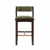 Patricia Modern Wood Upholstered Barstool in Turtle Green Bar Stool