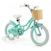 Prorider 16" Kid's Bike With Training Wheels Adjustable Handlebar Seat Handbrake Green