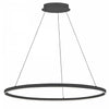 Dainolite Circulo Chandelier 63w Matte Black Finish White Acrylic Diffuser Lamp|Lustre Circulo de Dainolite en acrylique blanc qui diffuse la lumière, avec fini noir mat et ampoule de 63 W