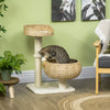 Pawhut 28" Cat Tree With Scratching Post, Cat Tower For Indoor Cats With Double Beds, Beige|Pawhut Arbre A Chat De 28" Avec Griffoir En Sisal Pour Chatons D'interieur, Arbre A Chat Moderne Ave