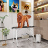 Pawhut 42in Foldable Dog Grooming Table, Pet Grooming Table With Adjustable Grooming Arms, Storage S|Pawhut Table De Toilettage Pliable Pour Chien, Table De Toilettage Pour Animaux De Compagnie Avec Br