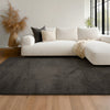 Argo Plush & Shags Charcoal Washable Rug 6'7" x 9'0" Indoor Area Rug | Tapis Lavable/Moelleux Argo 6'7" x 9'0" en Charbon