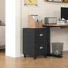 HOMCOM Lockable 2 Drawer File Cabinet with Hanging Bars for A4 and Letter