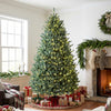 HOMCOM 7.5ft Prelit Christmas Tree, Easy Plug, Dual-Colour Lights, Hinged
