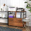 Vinsetto File Cabinet With Hanging Bars For A4 Letter Legal Size|Vinsetto Meuble De Classement Avec Tiroir, Barres De Suspension