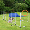 Pawhut 5 Piece Outdoor Game Dog Agility Training Equipment Set Agility Starter Kit Jumping Ring Hurdle Bar Tunnel