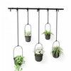 Umbra Black Triflora Hanging Planter - Set of 5|Jardinière suspendue Triflora de Umbra noire - ensemble de 5