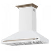Forno Aria 48 Inch Wall-Mounted White Range Hood-FRHWM5095-48WHT | Hotte de cuisiniere murale Aria de 48 po, blanc-FRHWM5095-48WHT