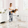 PawHut 32in Foldable Dog Grooming Table for Small Dogs, Pet Grooming Table for Dogs Cats with Adjustable Arm, Non-Slip Surface, Grey