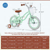 Prorider 14" Kid's Bike With Removable Training Wheels & Basket For 3-5 Years Old Green