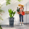 Outsunny Set of 3 Tall Planters, Indoor and Outdoor Flower Pot Set, Grey
