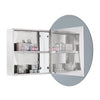 Julee Medicine Mirror Cabinet - Silver|Armoire à pharmacie Julee avec miroir - argentée
