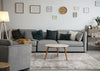 Hudson Grey Cream Distressed Brushstrokes Rug, 6'7" x 9'6" Indoor Area Rug | Tapis Hudson aux coups de pinceau vieillis gris creme, 6'7" x 9'6"