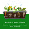 Costway Set Of 2 4 Ft Vertical Raised Garden Bed 5-tier Planter Box For Patio Balcony