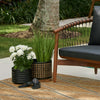 Cypress Transitional 5'3" x 7'0" Area Rug in Ivory Indoor Area Rug | Tapis Transitionnel Cypress 5'3" x 7'0" en Ivoire