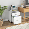 Vinsetto Filing Cabinet For Letter Or A4 Files W/ 2 Drawers Casters|Vinsetto Classeur Pour Dossiers Lettre Ou A4 Avec Roulettes 2 Tiroirs