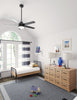 Aerodyne Ceiling Fan with Light Fixture - Black | Ventilateur de plafond Aerodyne avec luminaire - Noir