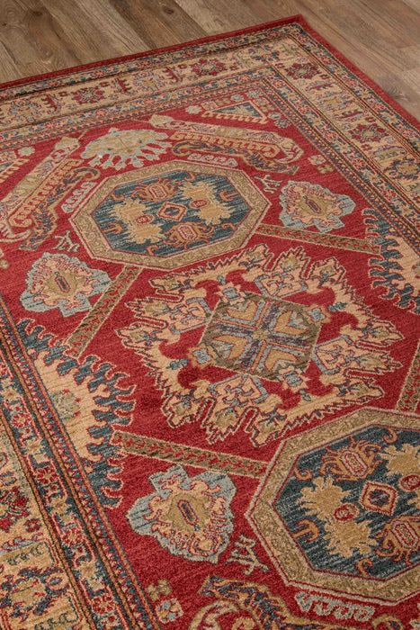 Aisha Traditional 9'3\" x 12'6\" Area Rug in Red Indoor Area Rug