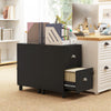 HOMCOM Lockable 2 Drawer File Cabinet with Hanging Bars for A4 and Letter