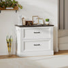 HOMCOM Lateral File Cabinet with 2 Drawers, Farmhouse Filing Cabinet, White