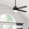 Aerodyne Ceiling Fan with Light Fixture - Black | Ventilateur de plafond Aerodyne avec luminaire - Noir