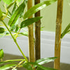HOMCOM 2 Piece 4ft Artificial Tree Bamboo for Indoor Home Decor