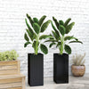 Outsunny 2 Pack Plastic Planter, 11 Inch Outdoor Planters, Black