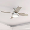 Dempsey Low Profile Ceiling Fan with Light Fixture - Grey | Ventilateur de plafond Dempsey à profil bas avec luminaire - Gris