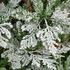 Homcom 7.5ft Snow Flocked Artificial Christmas Tree Cypress|Homcom Cypres D'arbre De Noel Artificiel Floque De Neige