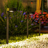 Outsunny 8-pack Solar Garden Lights, Landscape Yard Solar Pathway Lights