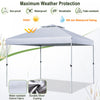 Costway 2-tier 10' X 10' Pop-up Canopy Tent Instant Gazebo Adjustable Carry Bag With Wheel