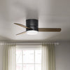 Minimus Ceiling Fan with Light Fixture - Black | Ventilateur de plafond Minimus avec luminaire - Noir