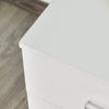 Vinsetto Locking Rolling File Cabinet With 2 Drawers|Vinsetto Classeur Roulant Verrouillable Avec 2 Tiroirs