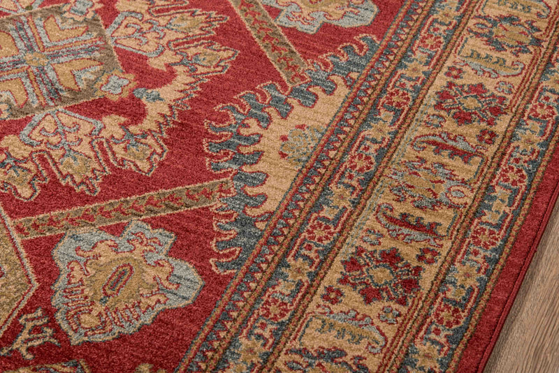 Aisha Traditional 9'3\" x 12'6\" Area Rug in Red Indoor Area Rug