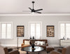 Aerodyne Ceiling Fan with Light Fixture - Black | Ventilateur de plafond Aerodyne avec luminaire - Noir