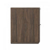 Clive Mid-Century Modern 22" Nightstand in Walnut and Black (2-Drawer) | Table de nuit Clive style milieu du siecle moderne 56 cm en noyer et noir (2 tiroirs)