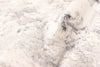 Mira Grey Rug 5'0" x 8'0" | Tapis Traditionnel Mira 5'0" x 8'0" en Gris