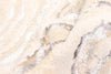 Clara Ivory Rug 8'0" x 10'0" | Tapis Contemporain/Moderne Clara 8'0" x 10'0" en Ivoire
