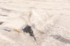 Juniper Taupe Rug 8'0" x 10'0" | Tapis Contemporain/Moderne Juniper 8'0" x 10'0" en Taupe