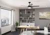 Anisten Ceiling Fan with Light Fixture - Black | Ventilateur de plafond Anisten avec luminaire - Noir